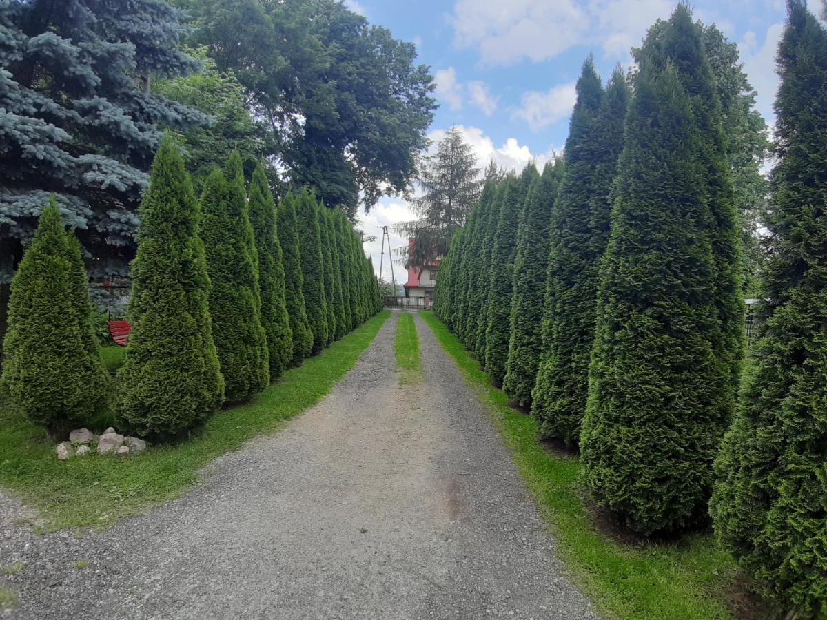 Chata W Banskiej Banska Nizna Exterior foto